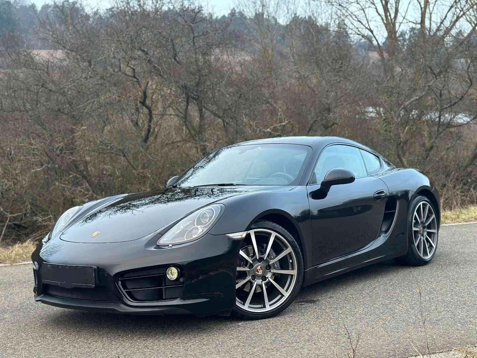 photo Porsche Cayman Cayman (981) Coupe Automatique PDK 2013 9906