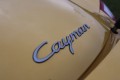 Photo Logo Porsche Cayman